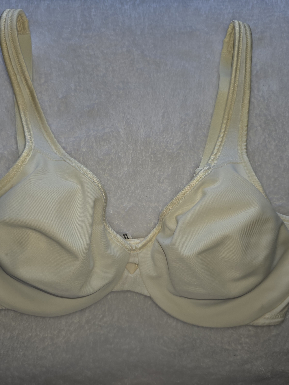 Lilyette Smooth Underwire Bra in Cream